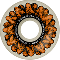BONES WHEELS JEU DE 4 XF 53MM V6 97A WINGIN IT WIDECUT